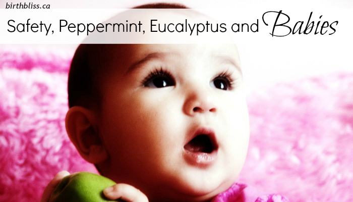 safety-peppermint-eucalyptus-babies