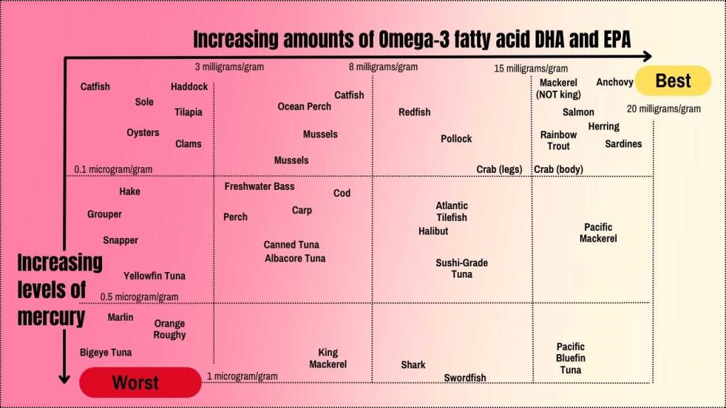 5 Tips on How To Have a Smarter Baby- Omega-3 fatty acid DHA and EPA