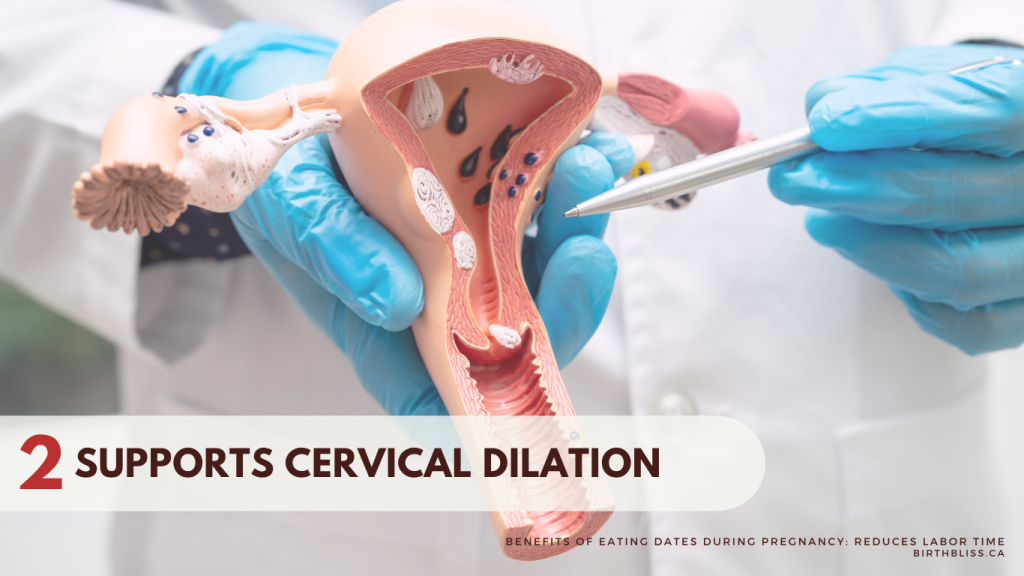 Benefits of Eating Dates During Pregnancy- Supports Cervical Dilation