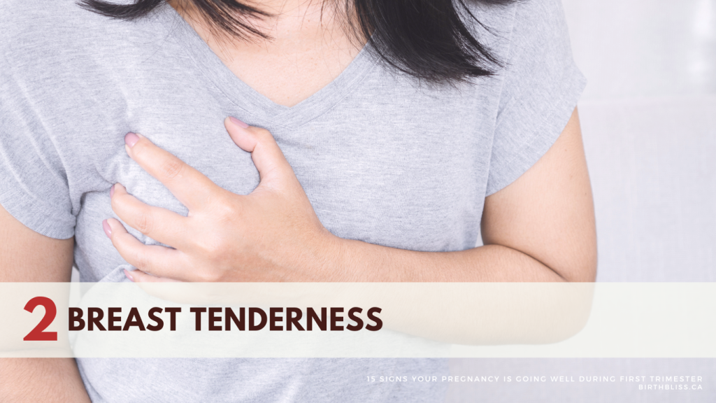 15 Signs Your Pregnancy is Going Well During First Trimester- Breast tenderness