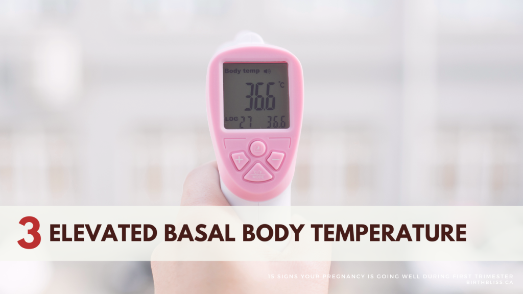 15 Signs Your Pregnancy is Going Well During First Trimester- Elevated Basal Body Temperature