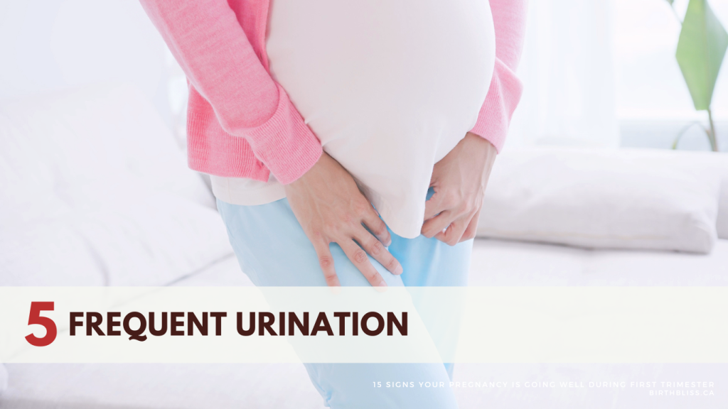 15 Signs Your Pregnancy is Going Well During First Trimester- Frequent urination