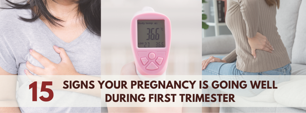 15 Signs Your Pregnancy is Going Well During First Trimester- Birth Bliss