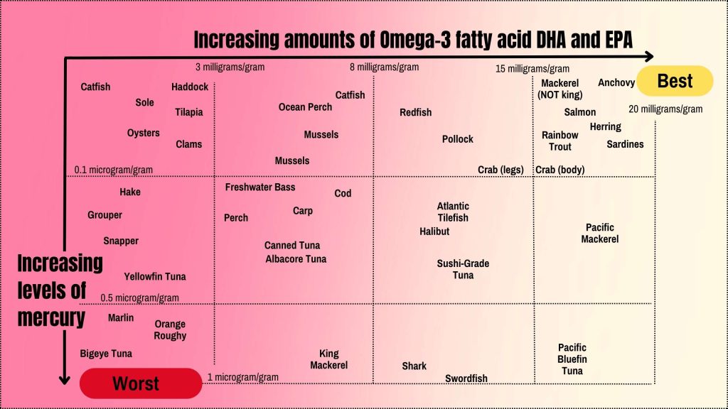 Best source of Omega-3 fatty acids (DHA)- Birth Bliss